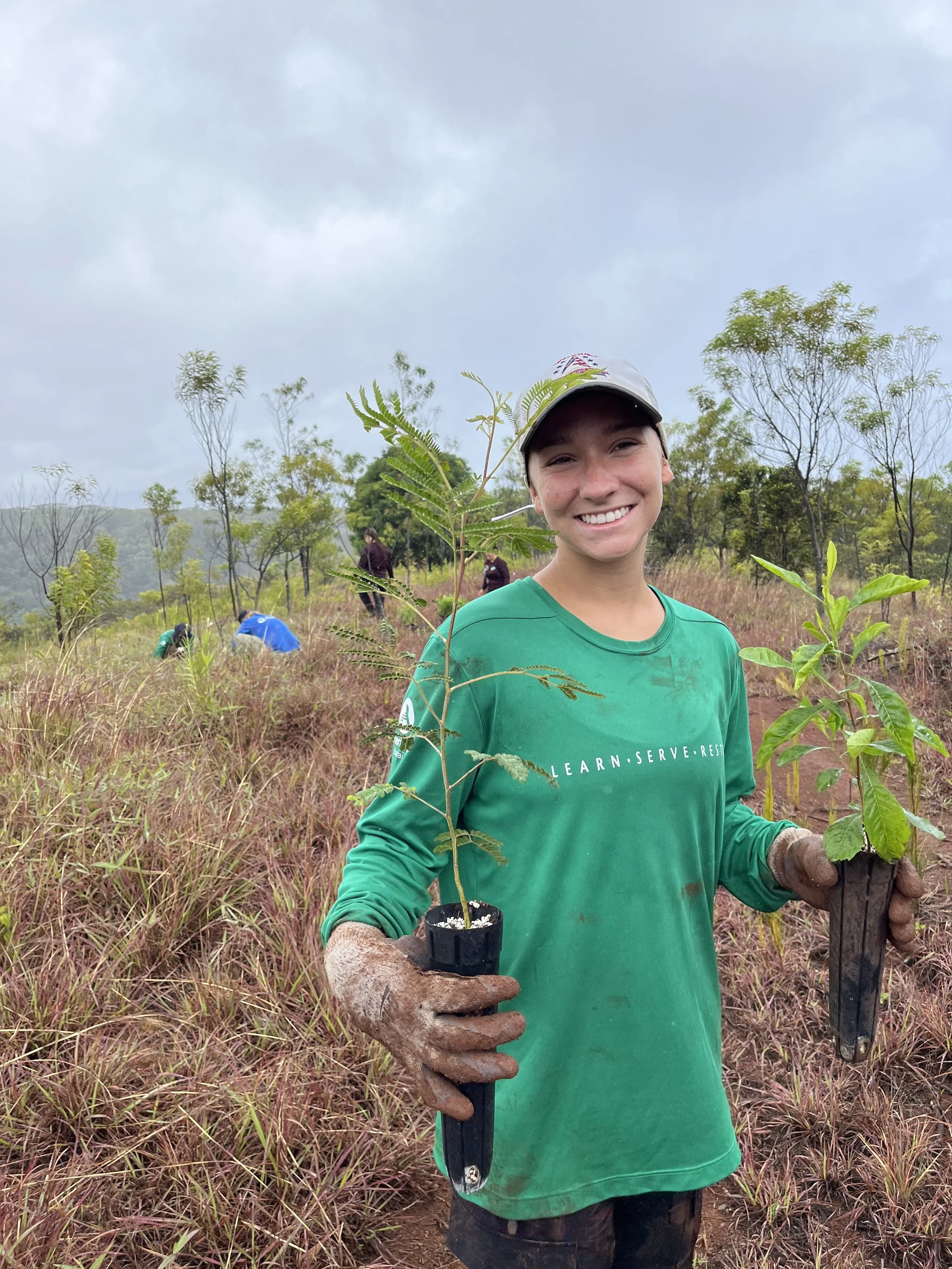 MALU - Meaningful Arboriculture to Limit Vulnerability in Urban